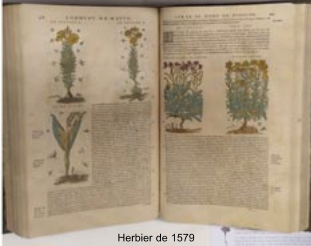 Herbier de 1579